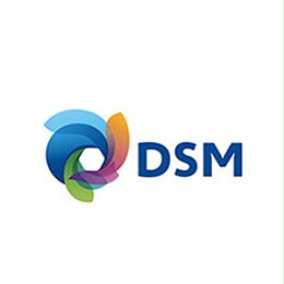 塑航供应商-DSM